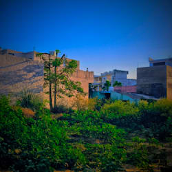 lakshyadeep218