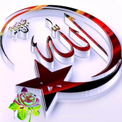 zeenat_crafts