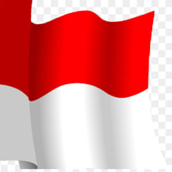 indoreview365
