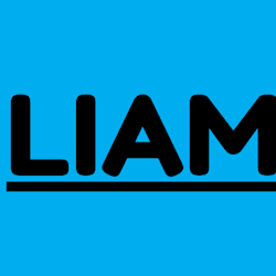 liamv295