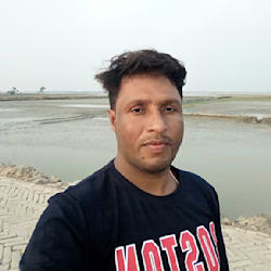 palash800