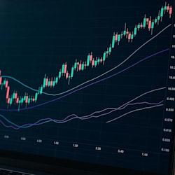 tradewisely