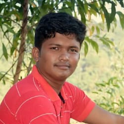 mridul2919
