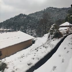 bharti_uttam