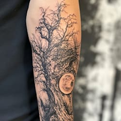 sequoiamathew
