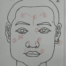 ecreif