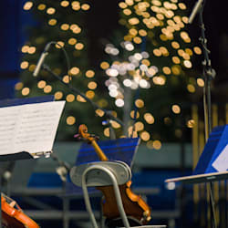 tems_strings