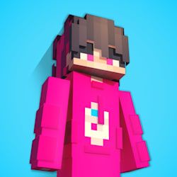 ninjanmy