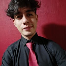 alphazdragon