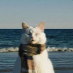 workonasmae