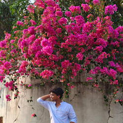 navu_krshn