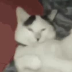 guythatneedsmon