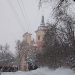 dannidevi