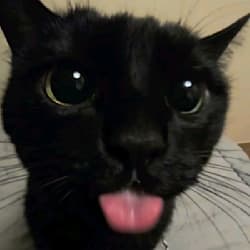 mocha_120