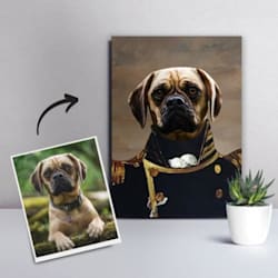 mycrownpet