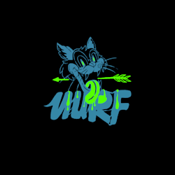 nurfstudio15