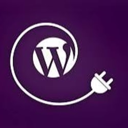 baestwpworker