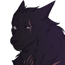 thewolffang_pro