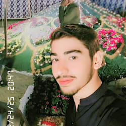 shozabmahdi600
