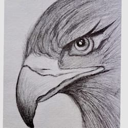 sketch_artt