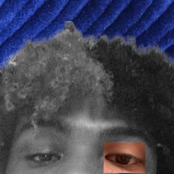 zebstarred