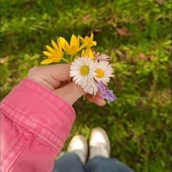 blooms111