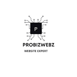 probizwebz