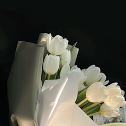 thv_aqs