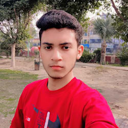 ahsan_works15