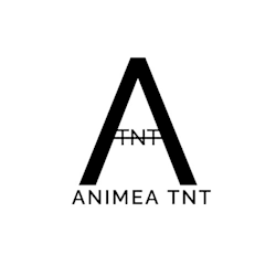 animea_tnt