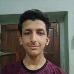 aliansari83