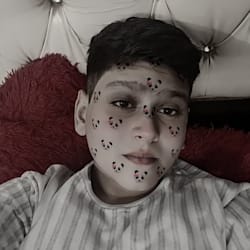 virronmess_edit