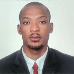 ronalditlingua