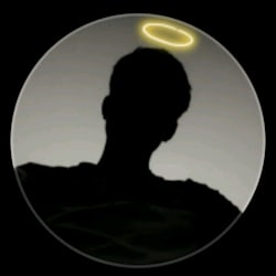 vinny_delight