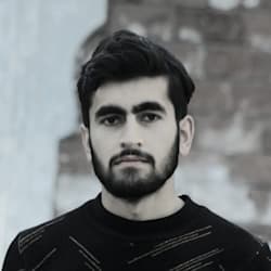 salis_ai