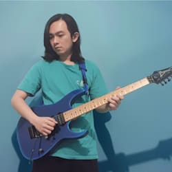 bedroomguitaris