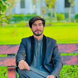 ameer_hamzadev