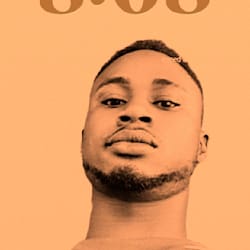 aremu_web