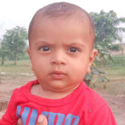 molvijahangir