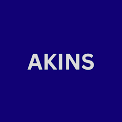 akinnuoye_akins
