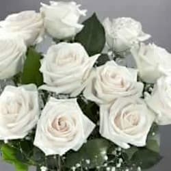 aroojfatima0410