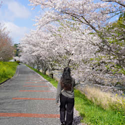 japanbylocal