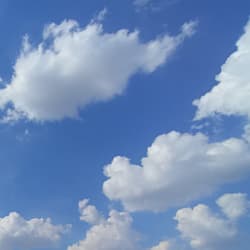 lunabloomss