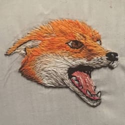 rabidboy