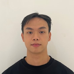 anhnguyenduc_