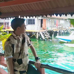 edrean_dims