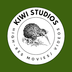 kiwistudios824