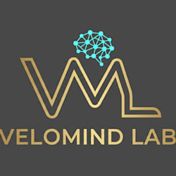 velomind_labs