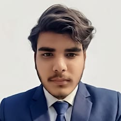 ranaamjidsattar
