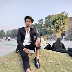 aryanraj3110